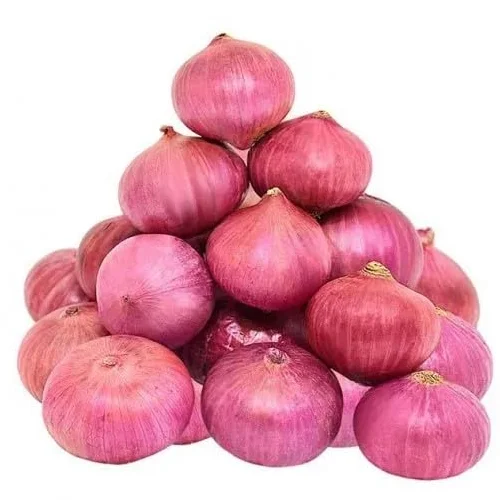 Onion