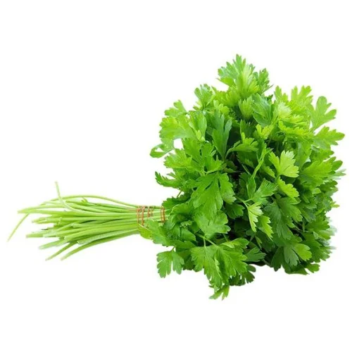 Organic Coriander