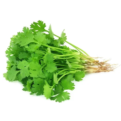 Organic Coriander