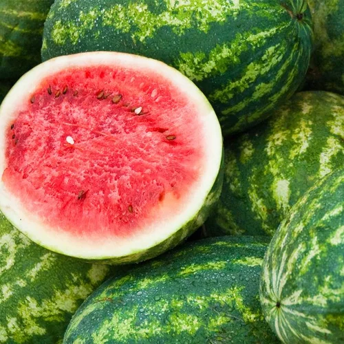 Water Melon