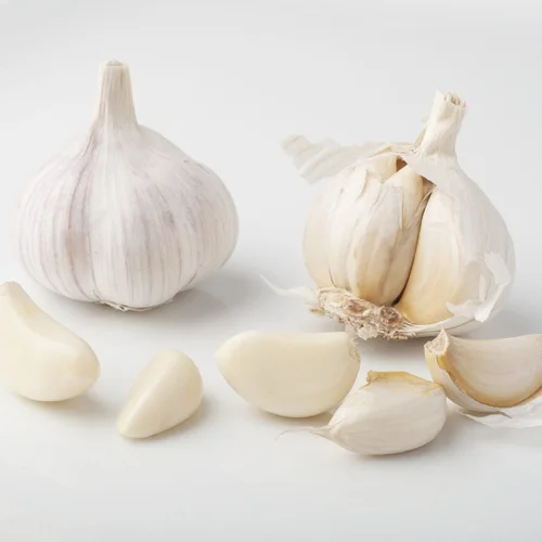 Garlic